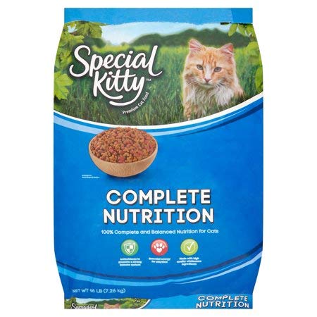 Special kitty