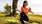 holistic health