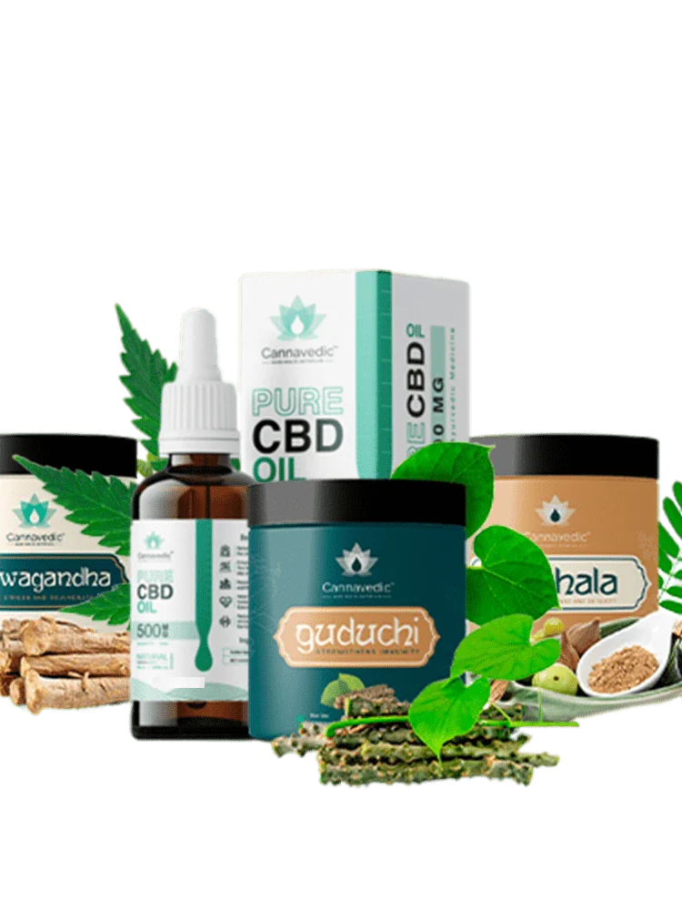 Holistic Health