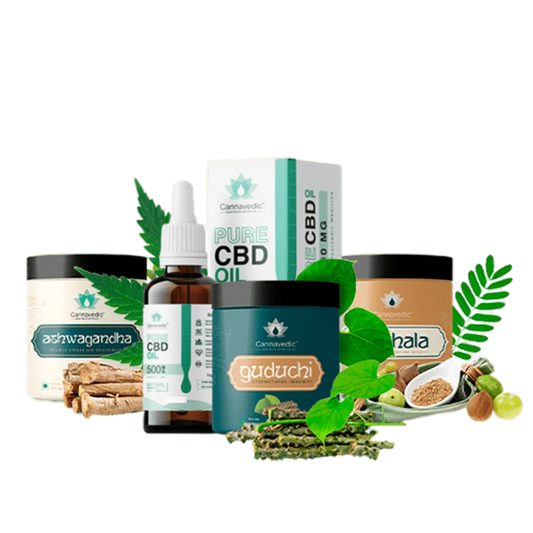 Holistic Health