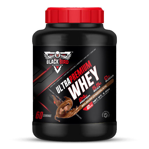 bird nutrition