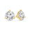 Unique Floral  Diamond  Errings
