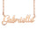 Gemini Zodiac Rose Pendant necklace