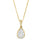 Tear Drop Shape necklace
