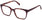 Hughes  Fig Tortoise